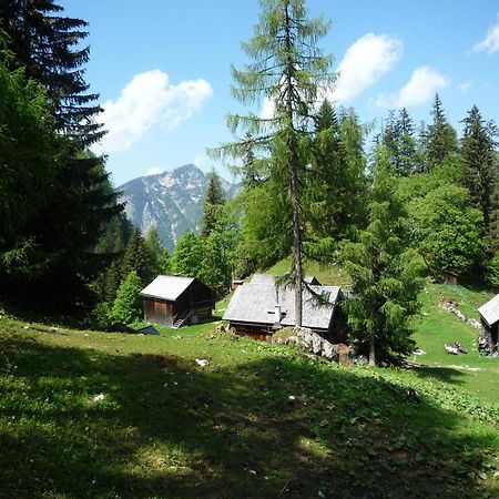 Apartment Schloemicher Leopold Und Birgitt Bad Mitterndorf Exterior foto