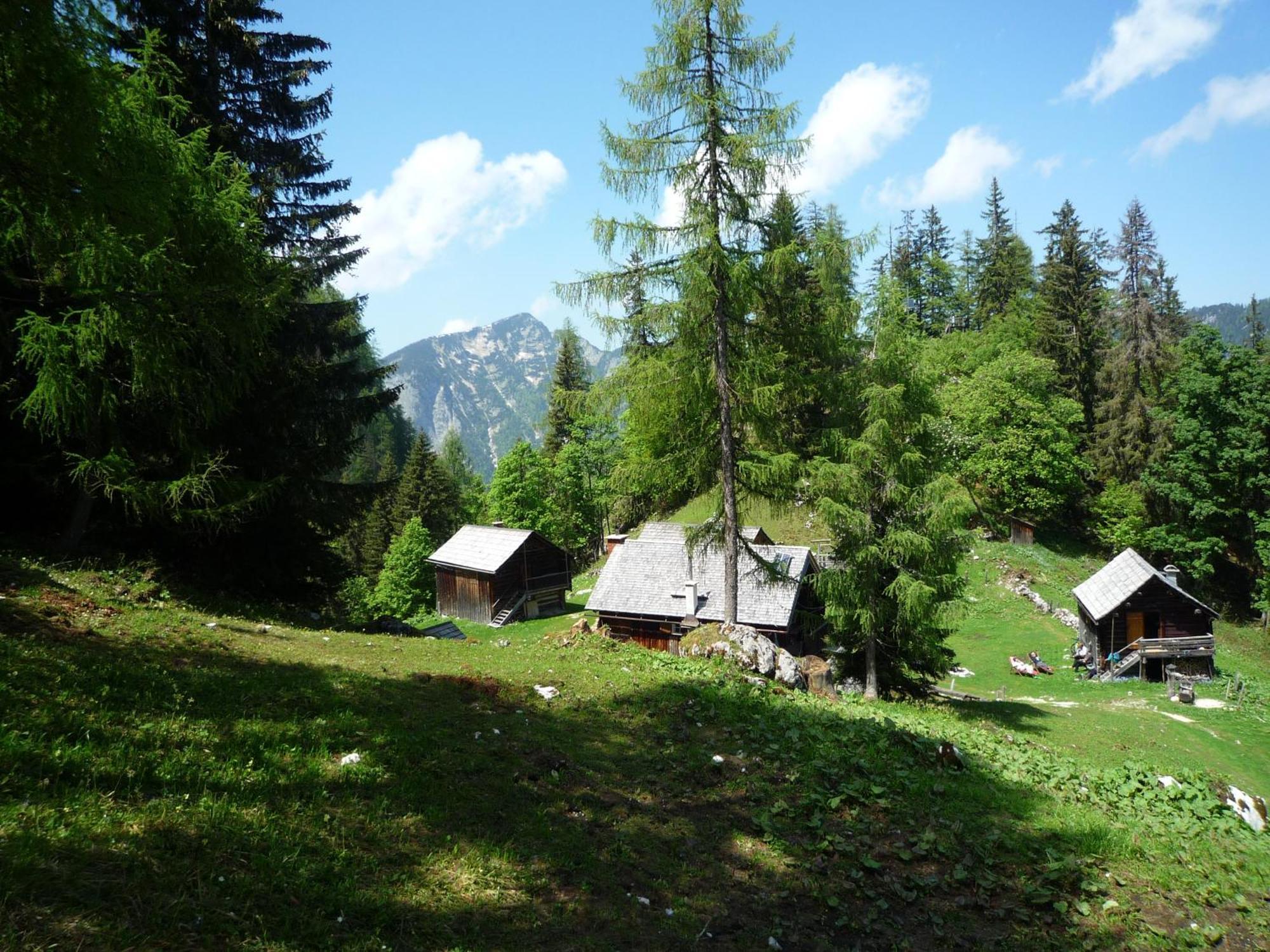 Apartment Schloemicher Leopold Und Birgitt Bad Mitterndorf Exterior foto