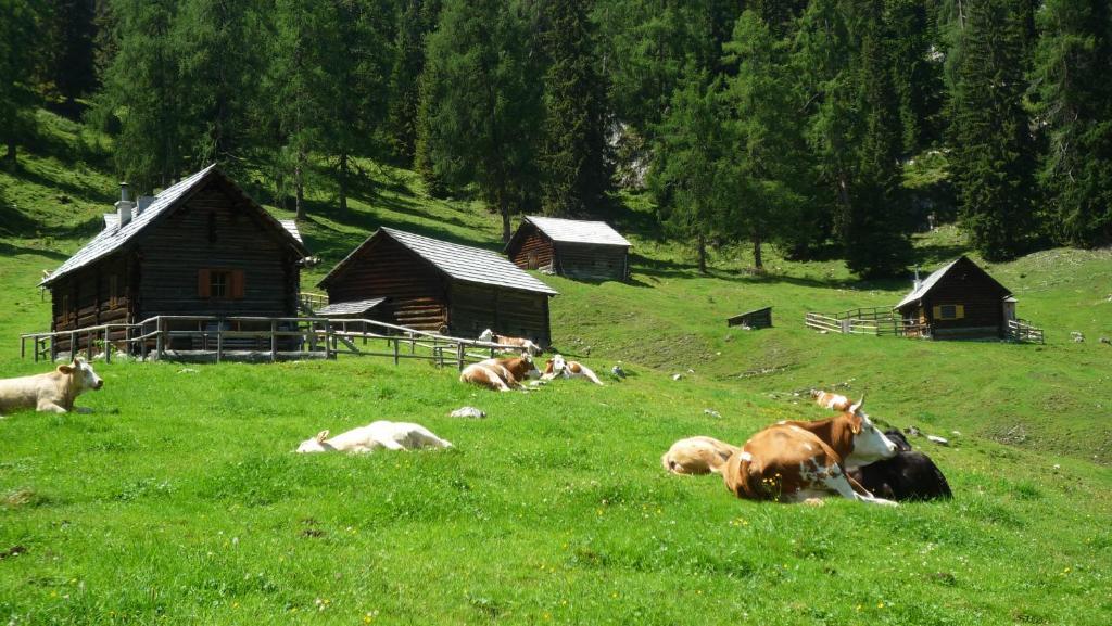 Apartment Schloemicher Leopold Und Birgitt Bad Mitterndorf Exterior foto